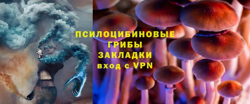 цена   Еманжелинск  blacksprut ссылки  Галлюциногенные грибы Magic Shrooms 